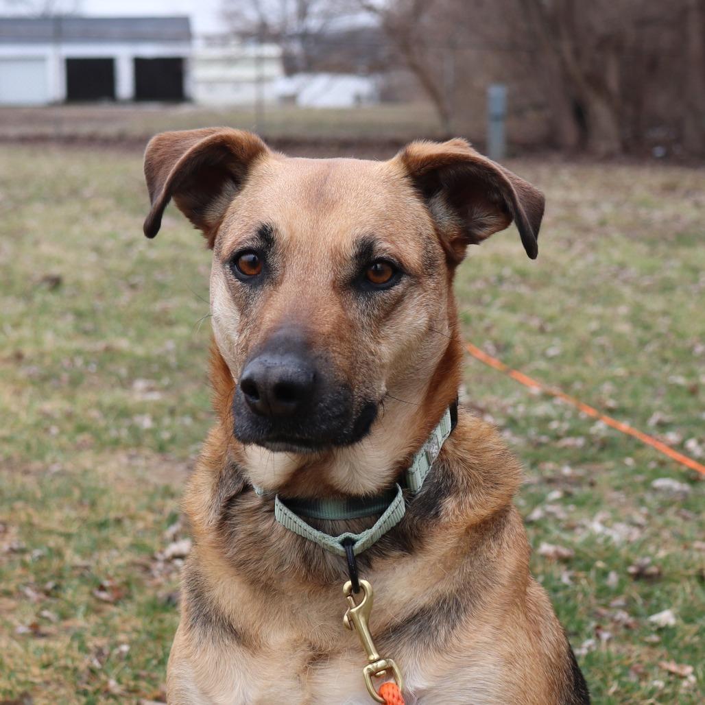 Daisy — thumbnail 5