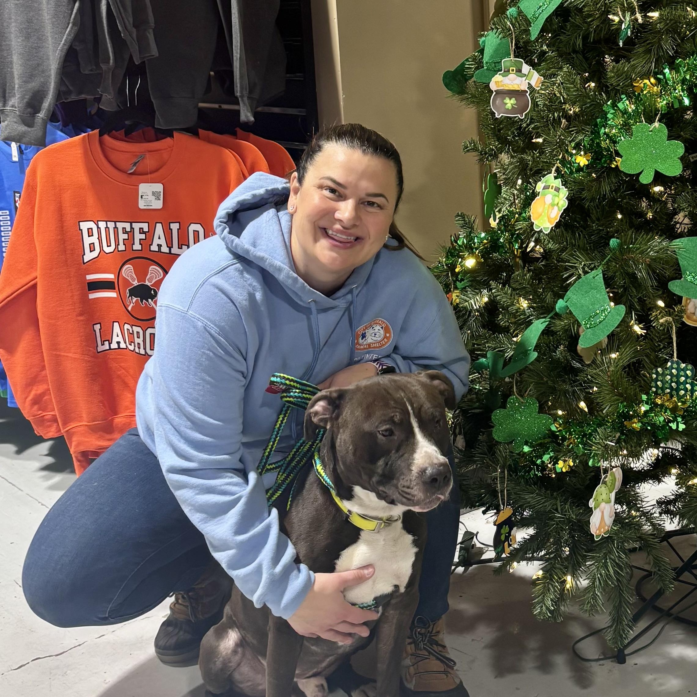 Rico, a ADOPTABLE mixed breed in Buffalo, NY image 5/6