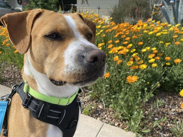 FLYNN — thumbnail 2