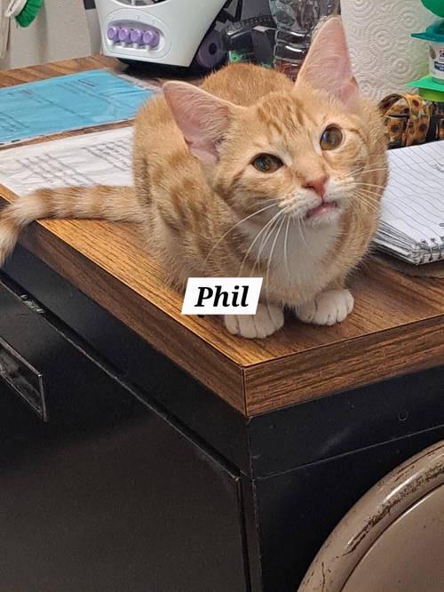 Philc