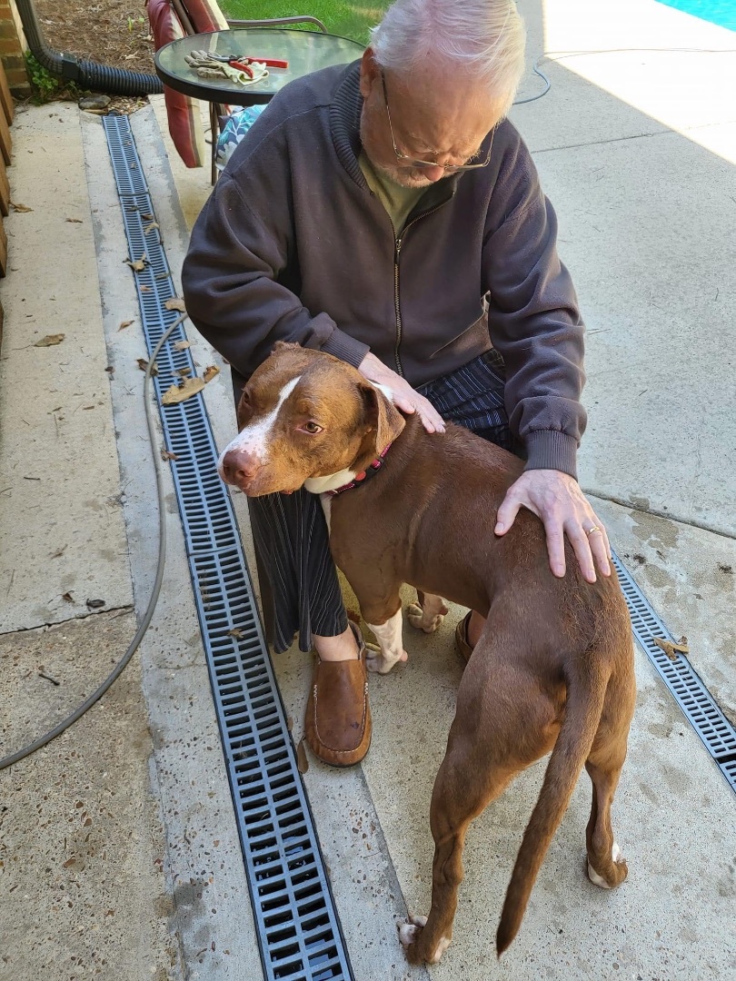 Maury, a Adoptable mixed breed in Water Valley, MS image 5/6