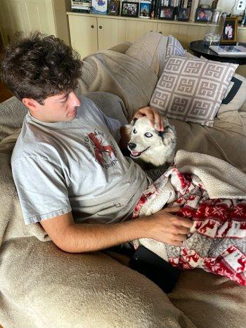 Coco, a Adoptable mixed breed in Bedford Hills, NY image 4/4