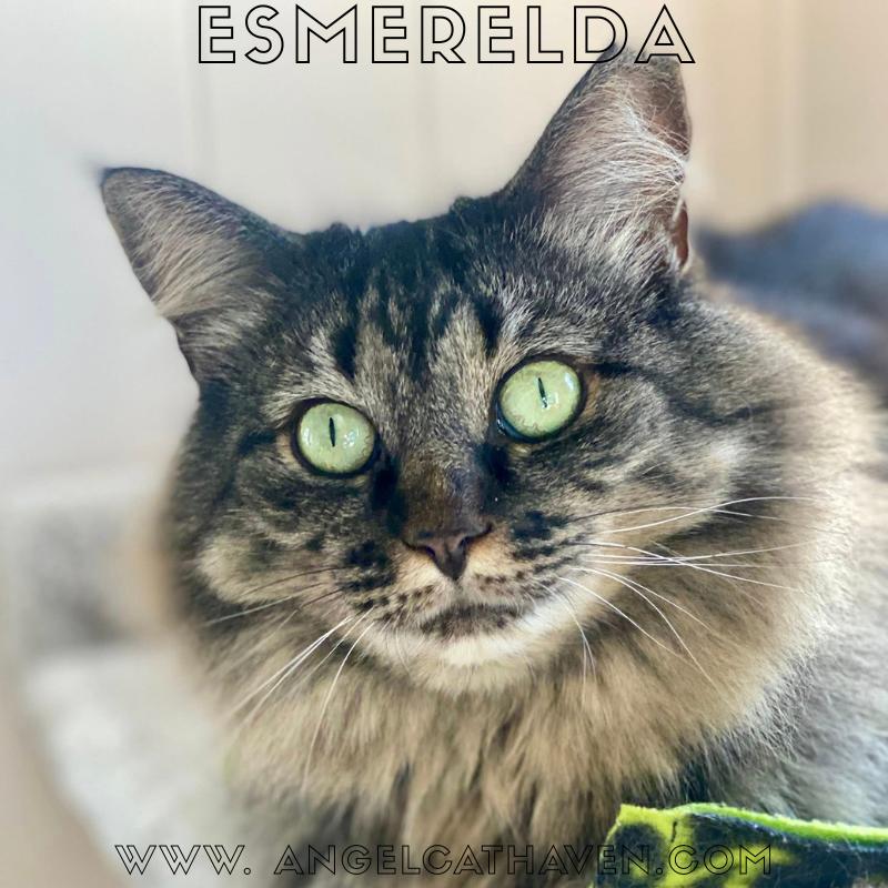 Esmerelda photo 5