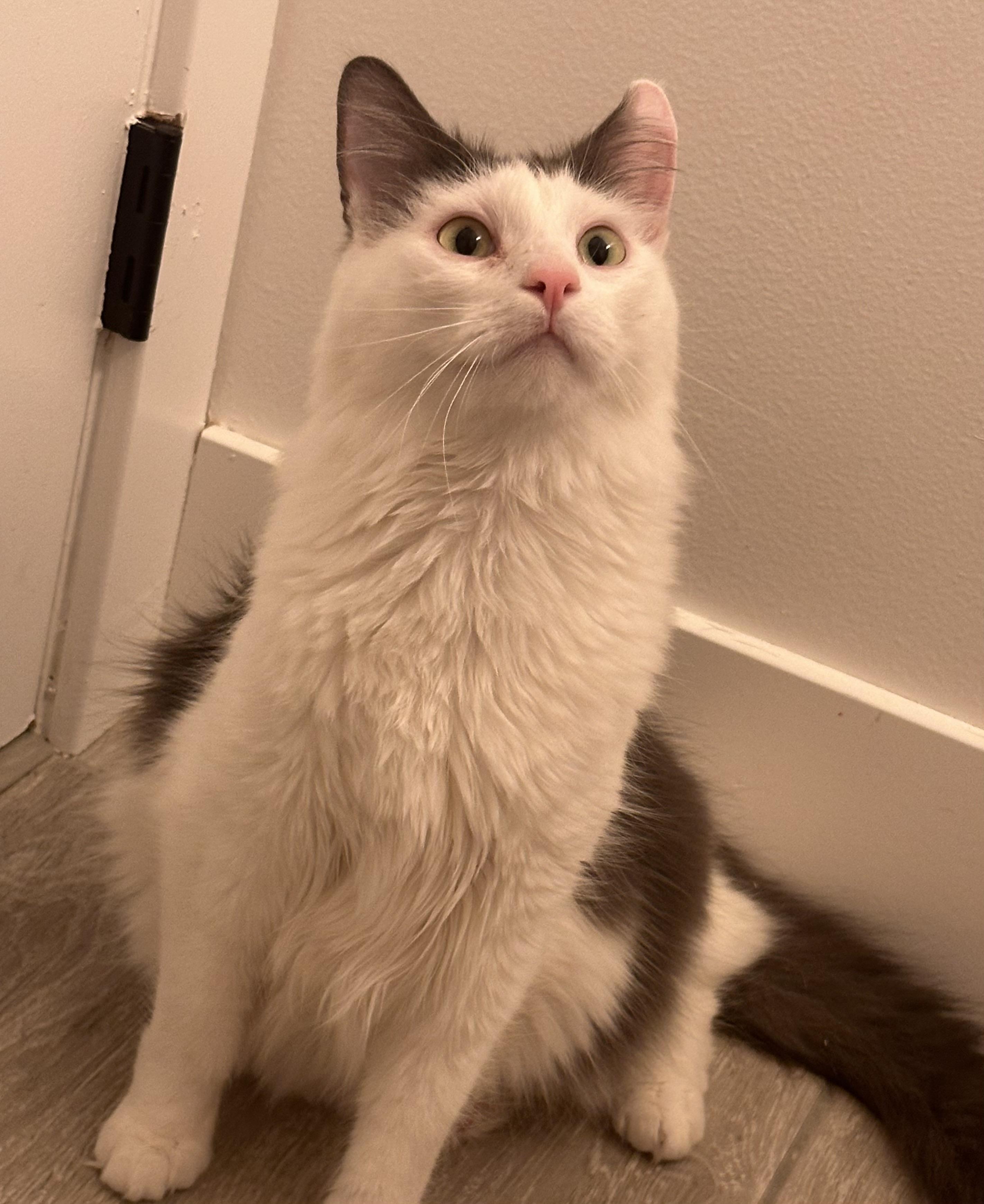 August INDOOR ONLY — thumbnail 2