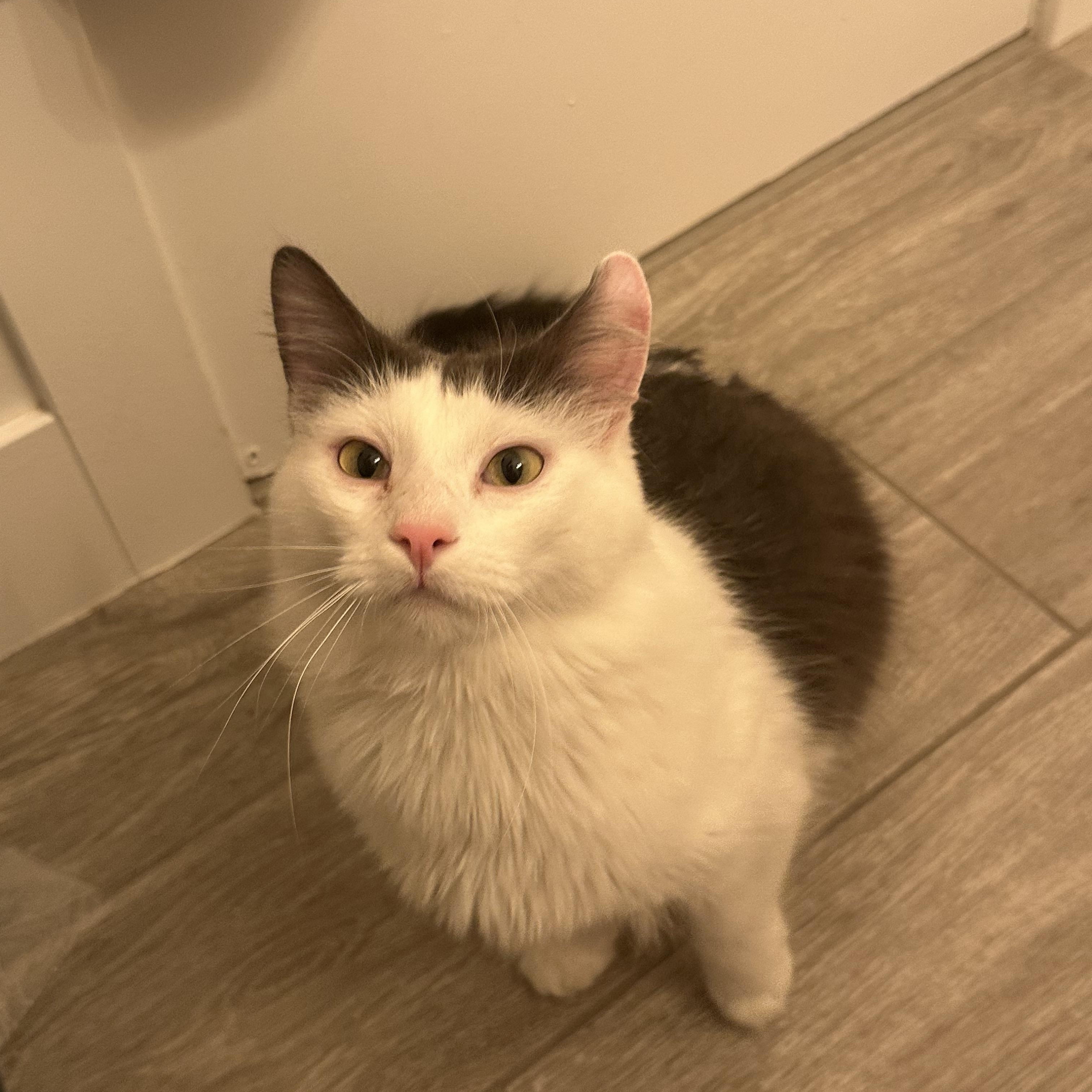 August INDOOR ONLY — thumbnail 3