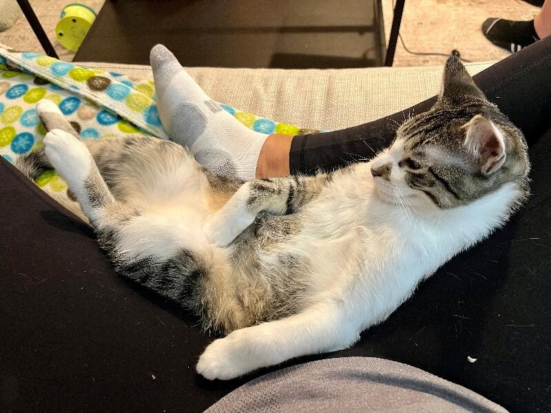 Leahy — thumbnail 3