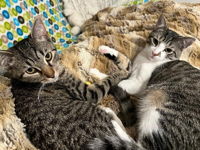 Leahy — thumbnail 5