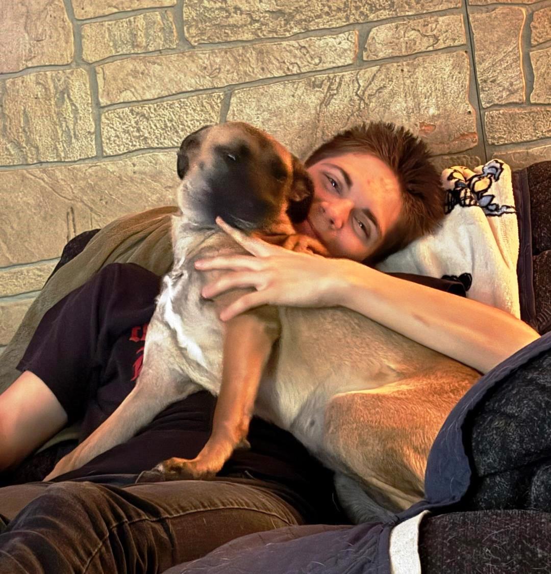 Enlarge Candy - Sweet Thing, a Adopted Shepherd in Rootstown, OH image 2/3