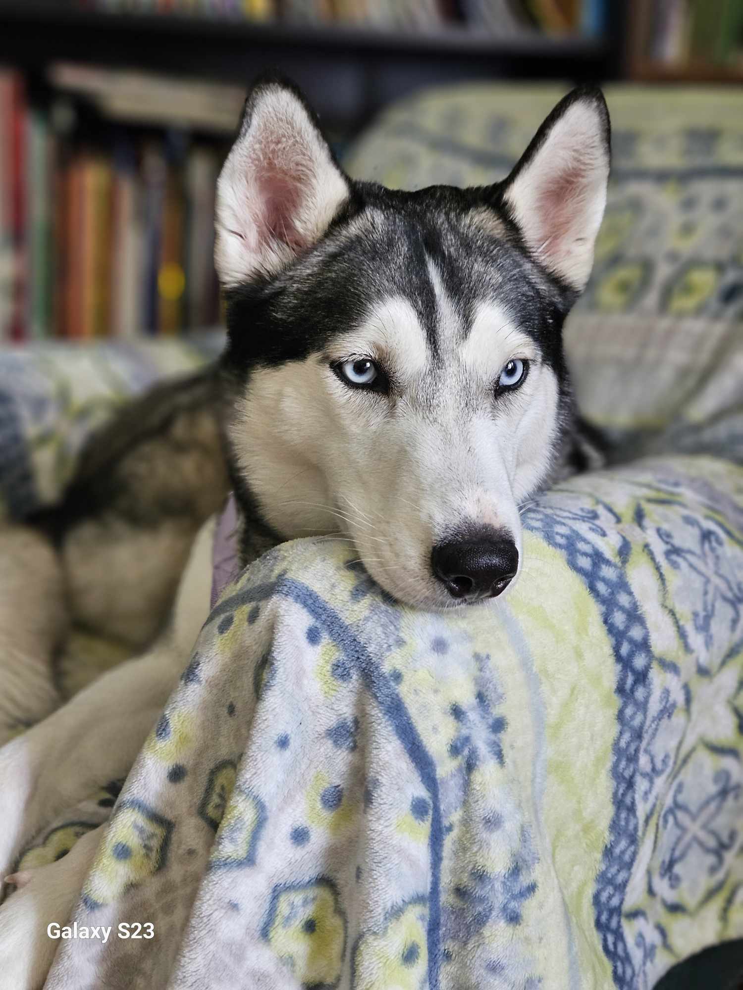 Mia