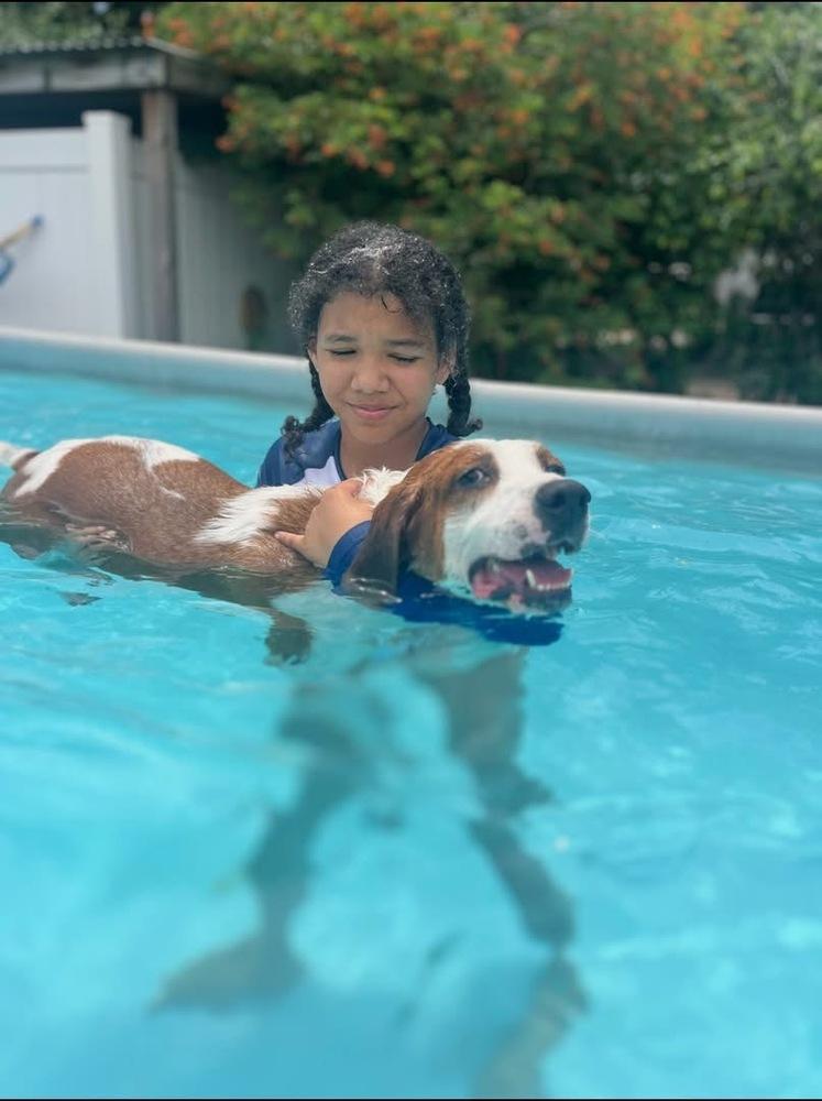 Enlarge Nola, a Adoptable mixed breed in Lakeland, FL image 5/5