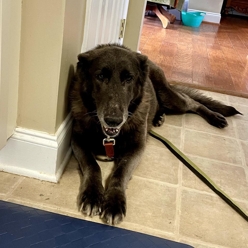 Misty — thumbnail 3