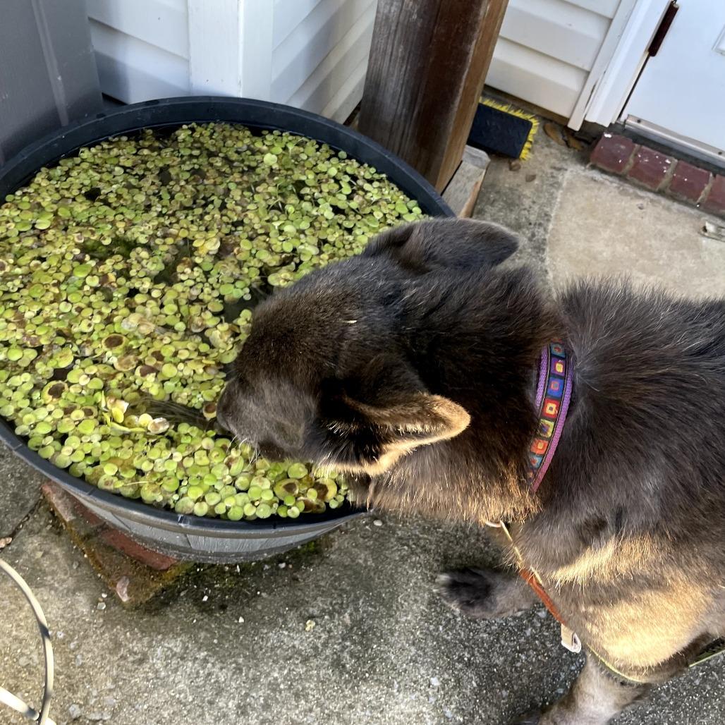 Misty — thumbnail 4