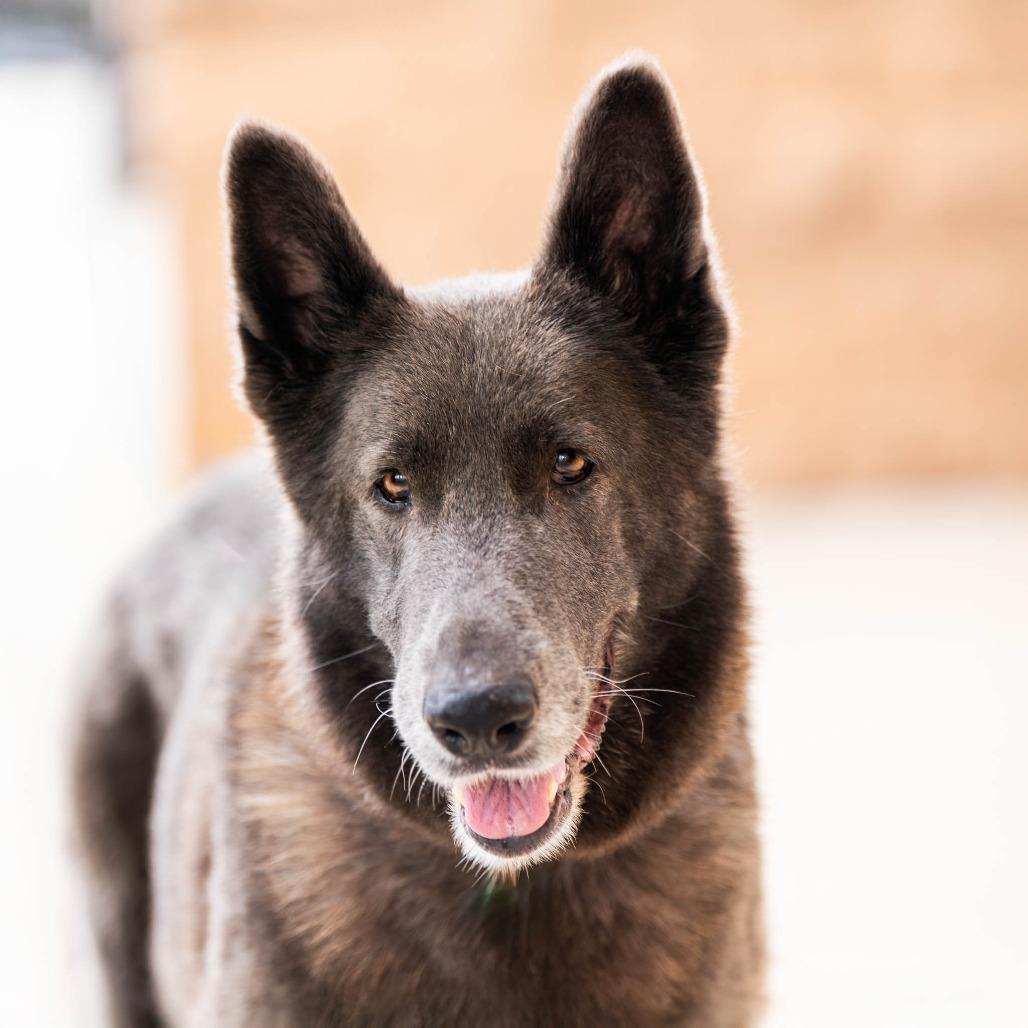 Misty — thumbnail 6