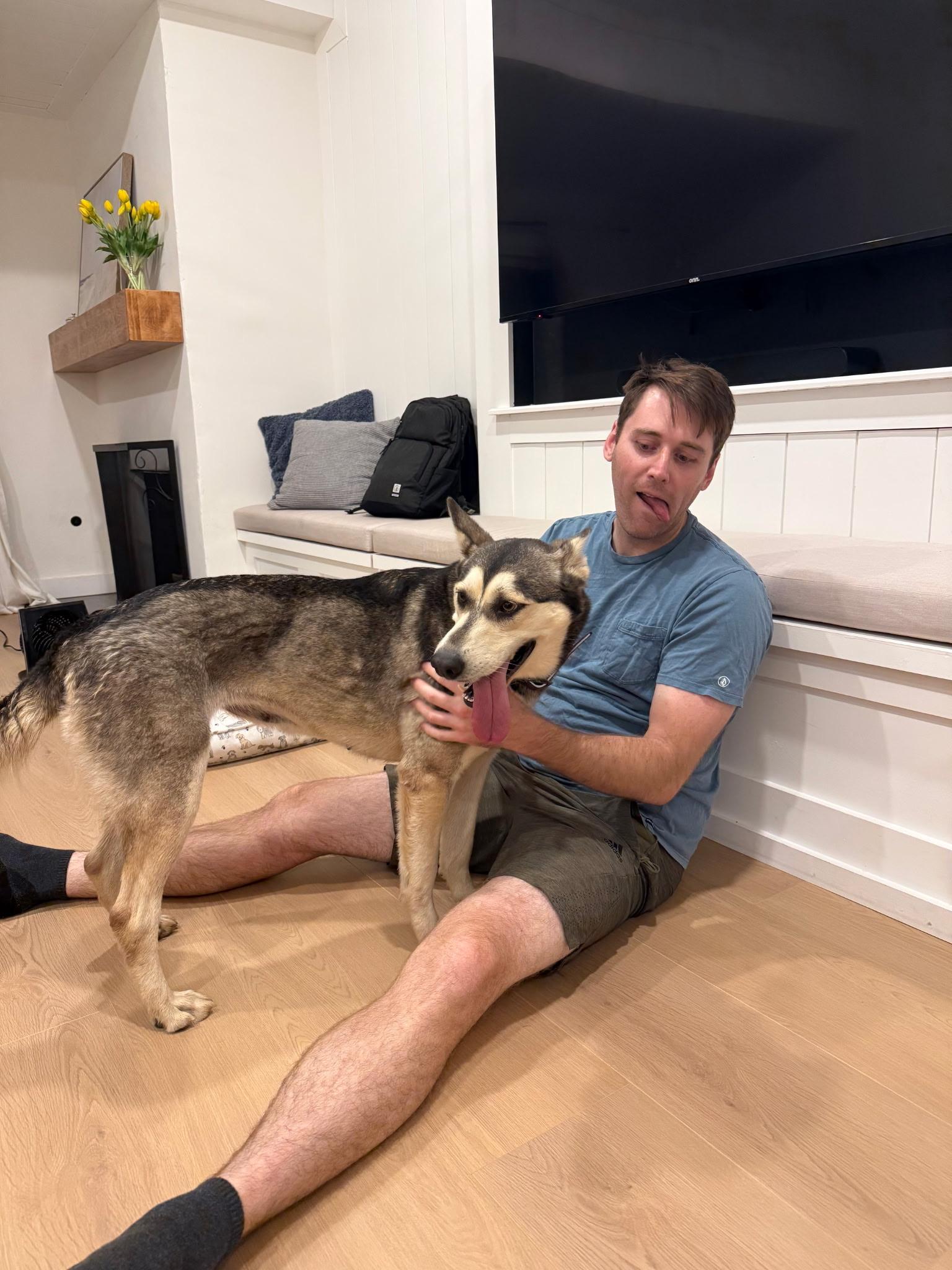 Enlarge Stacy, a Adoptable mixed breed in Corona Del Mar, CA image 5/6