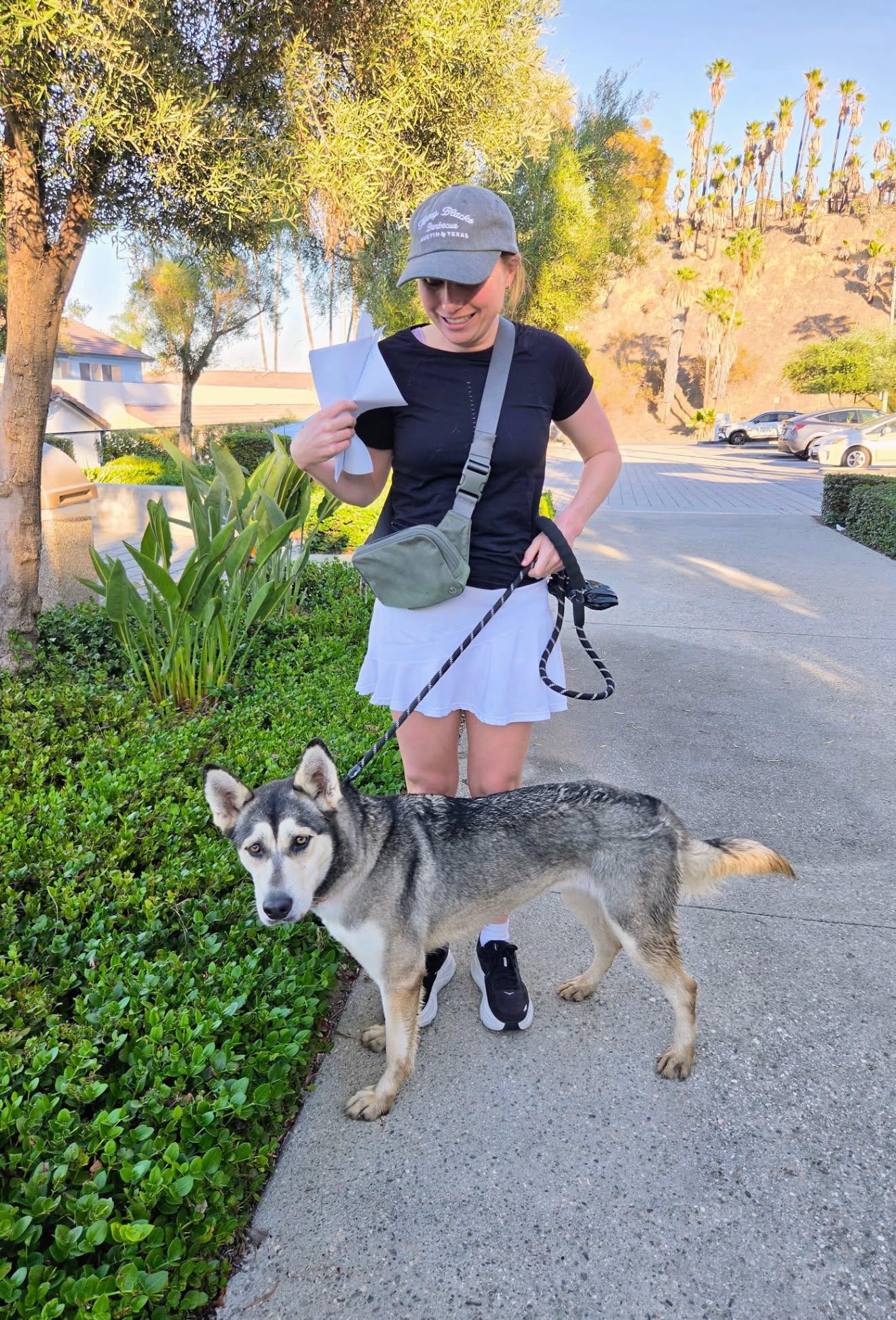 Enlarge Stacy, a Adoptable mixed breed in Corona Del Mar, CA image 4/6