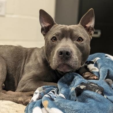 Creed (20260125-01) — thumbnail 2