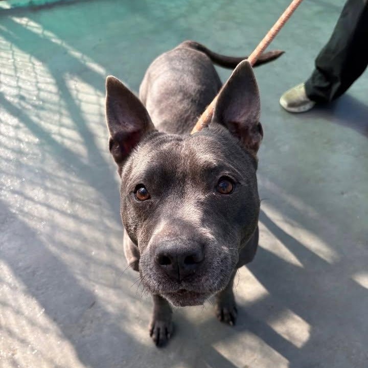 Creed (20260125-01) — thumbnail 3