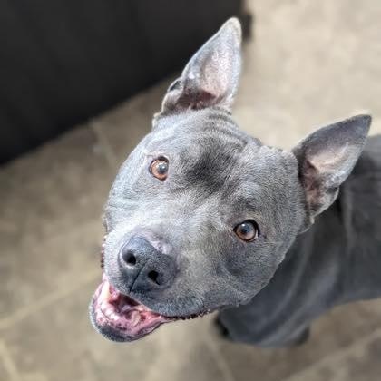 Creed (20260125-01) — thumbnail 4