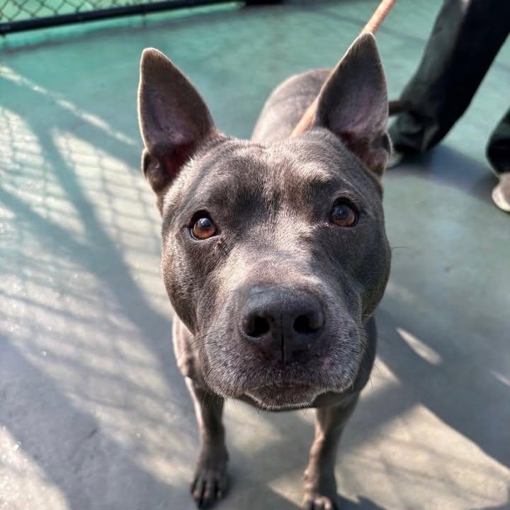 Creed (20260125-01) — thumbnail 5