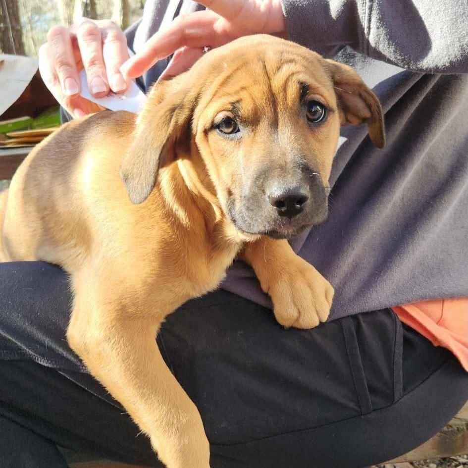 Felicity thumbnail 3