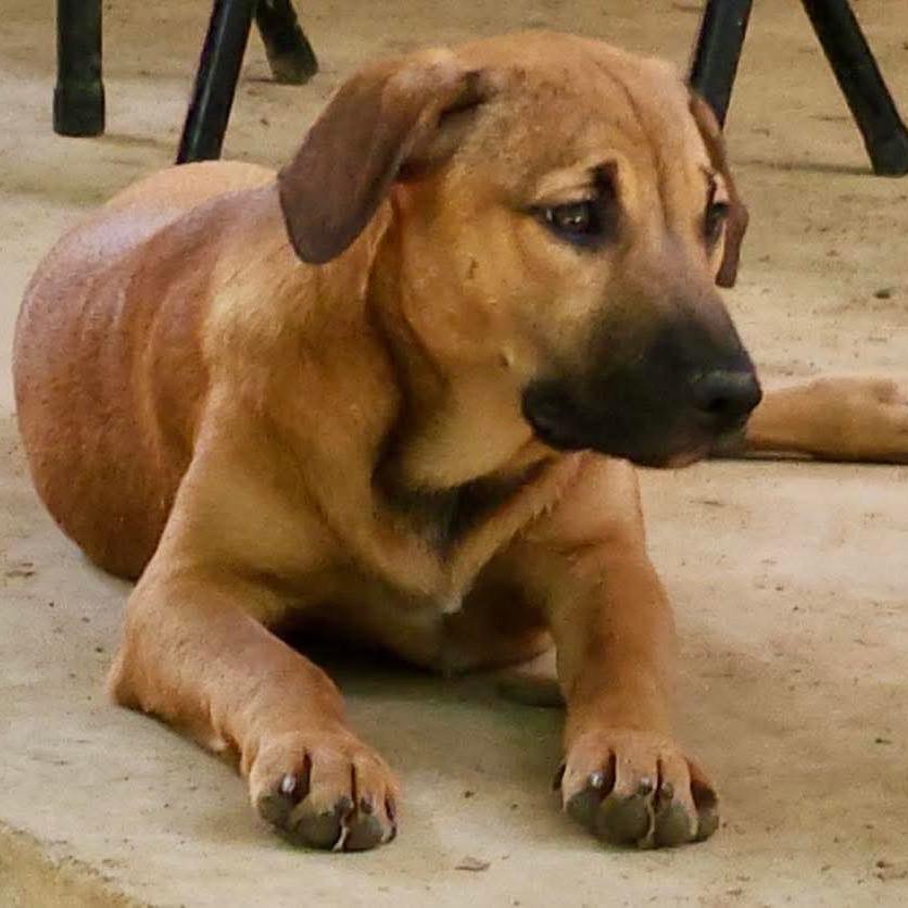 Felicity thumbnail 6