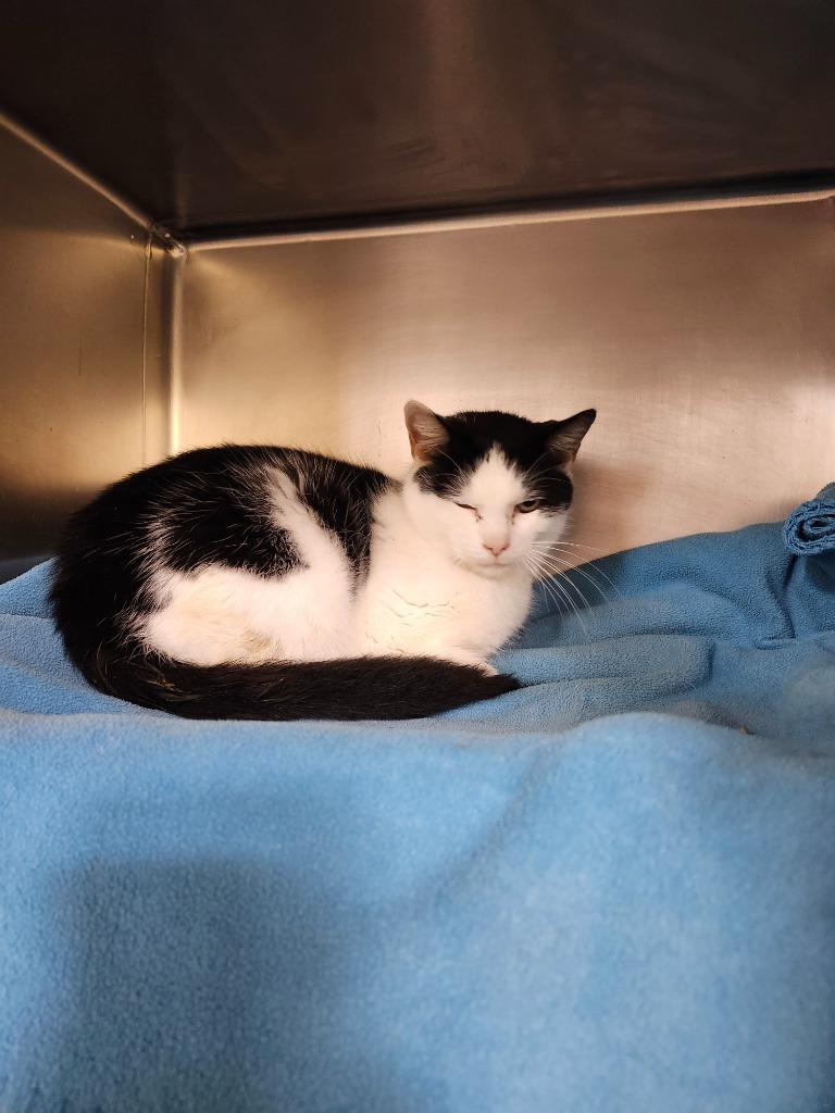 Quincy Endicott thumbnail 3