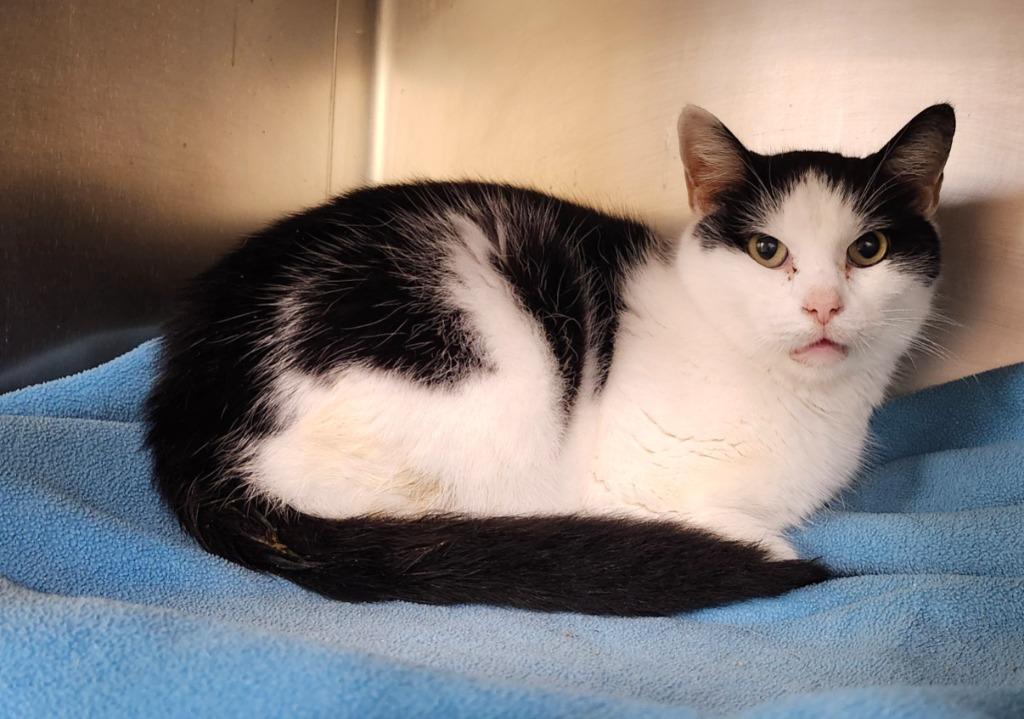 Quincy Endicott thumbnail 4