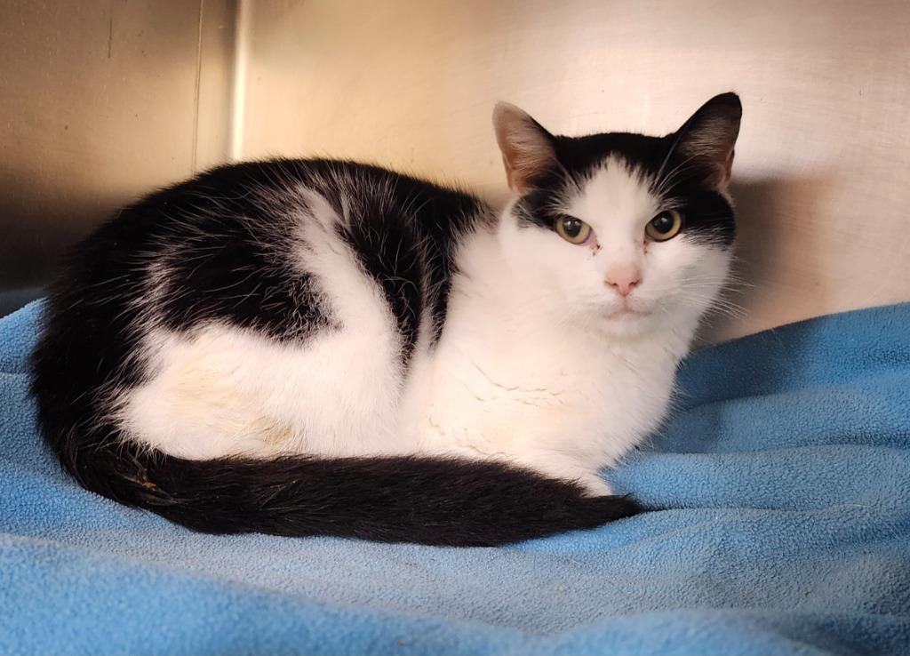 Quincy Endicott thumbnail 5