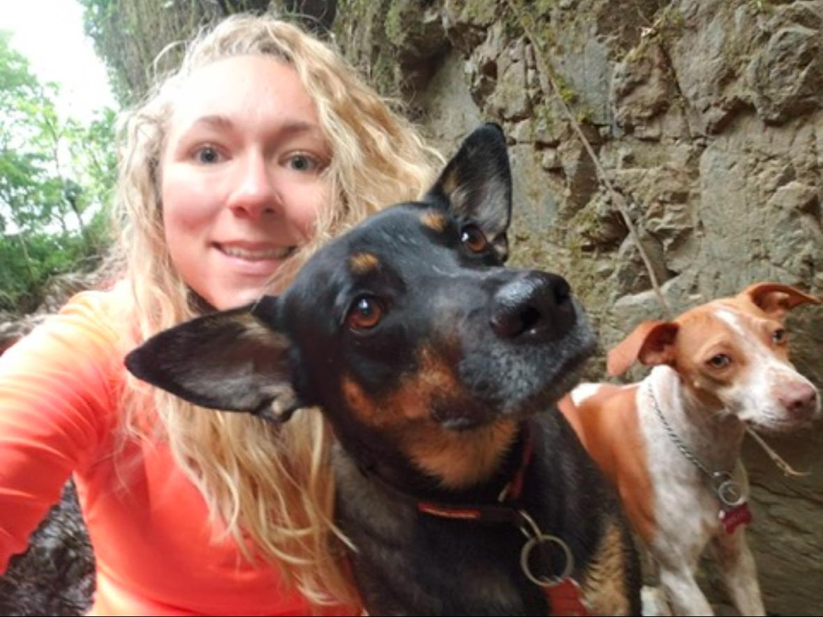 Enlarge Coco, a Adoptable mixed breed in Evans City, PA image 4/5