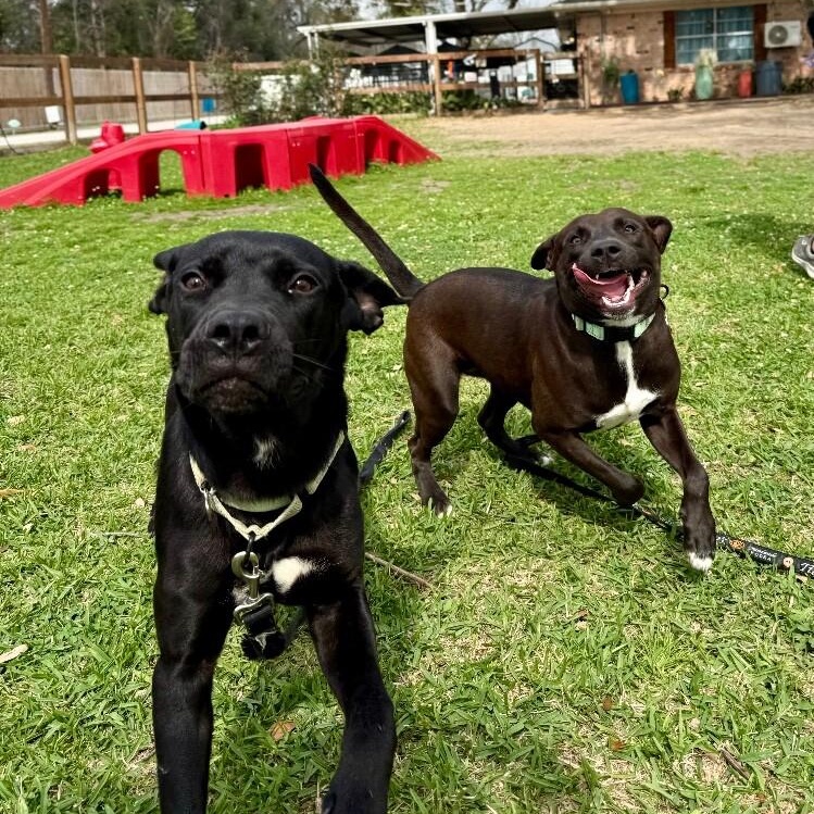 Leilani Snuggles the Professional Cuddle Bug — thumbnail 2