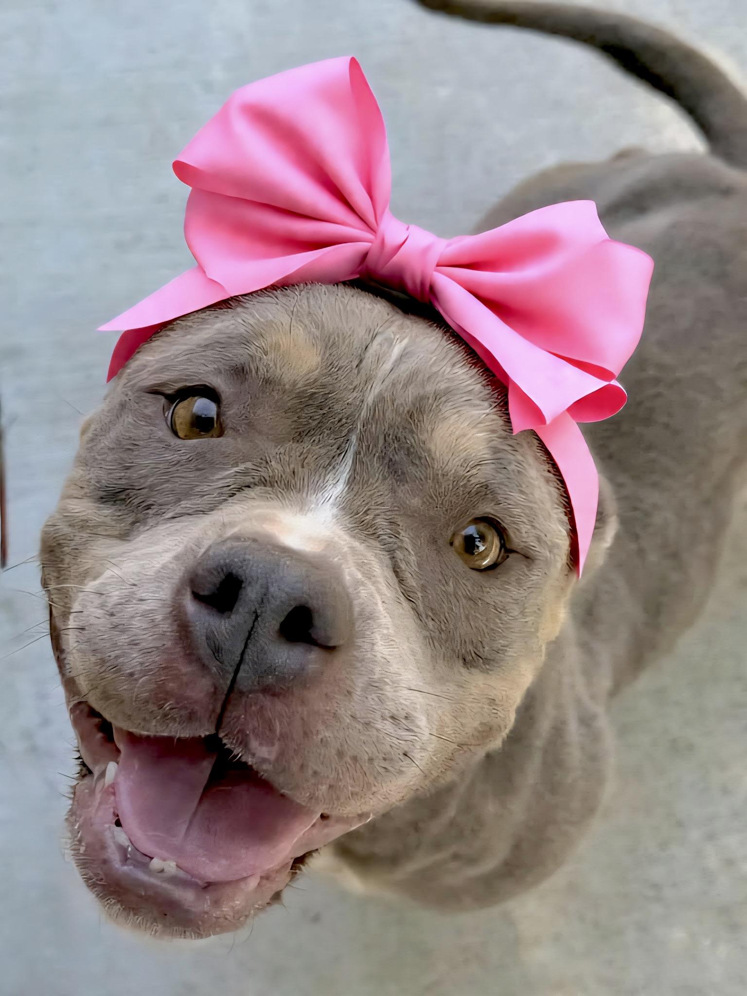 Minnie