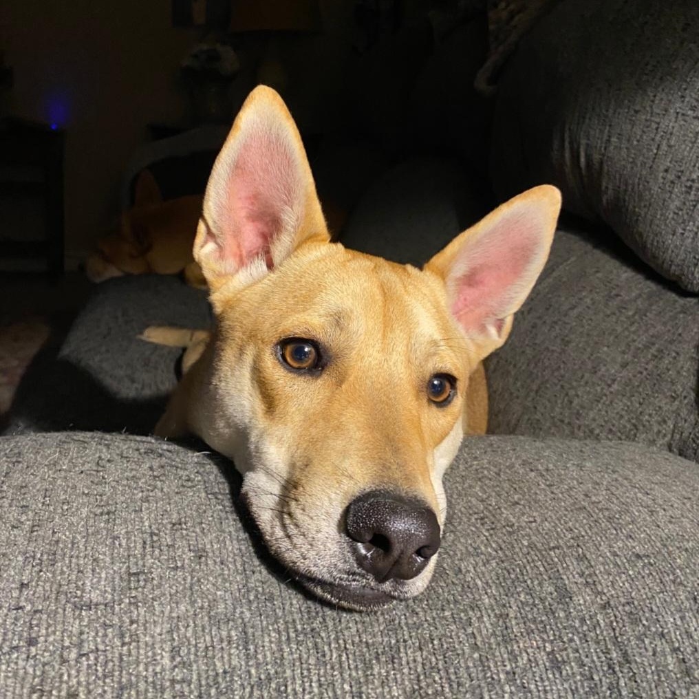 Jake — thumbnail 6