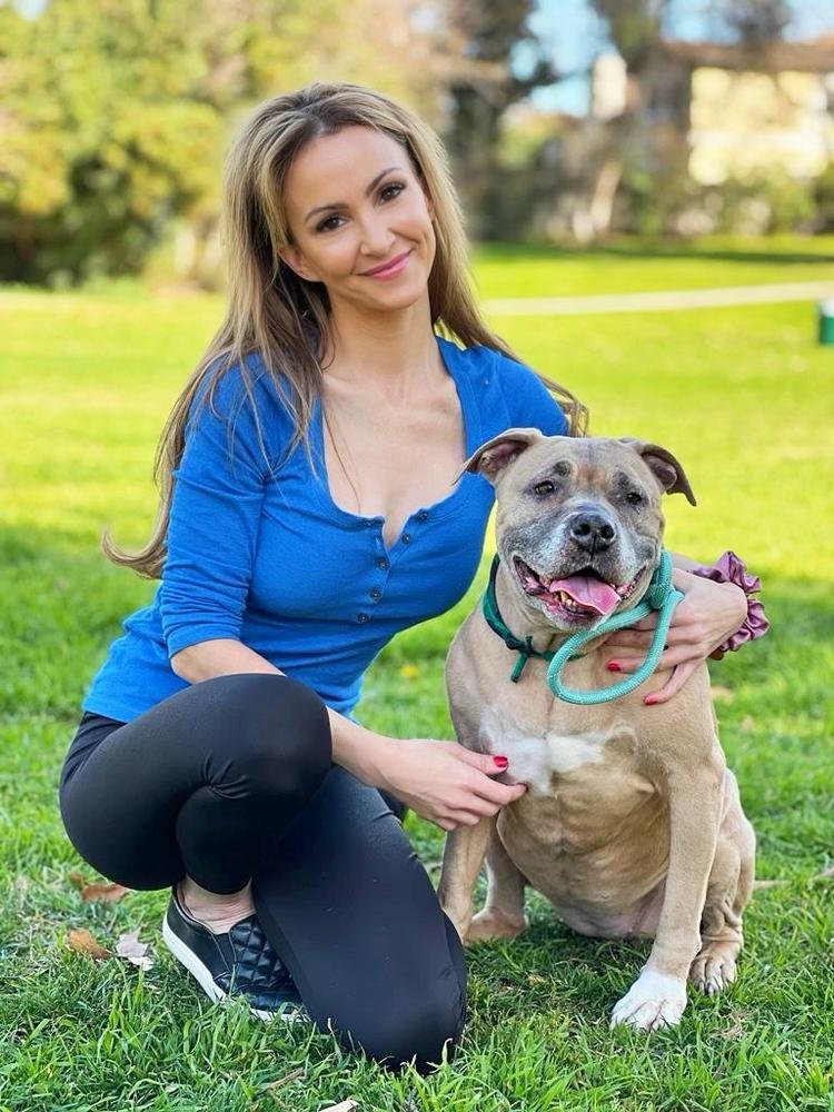 Enlarge Penny, a Adoptable mixed breed in los angeles, CA image 3/6