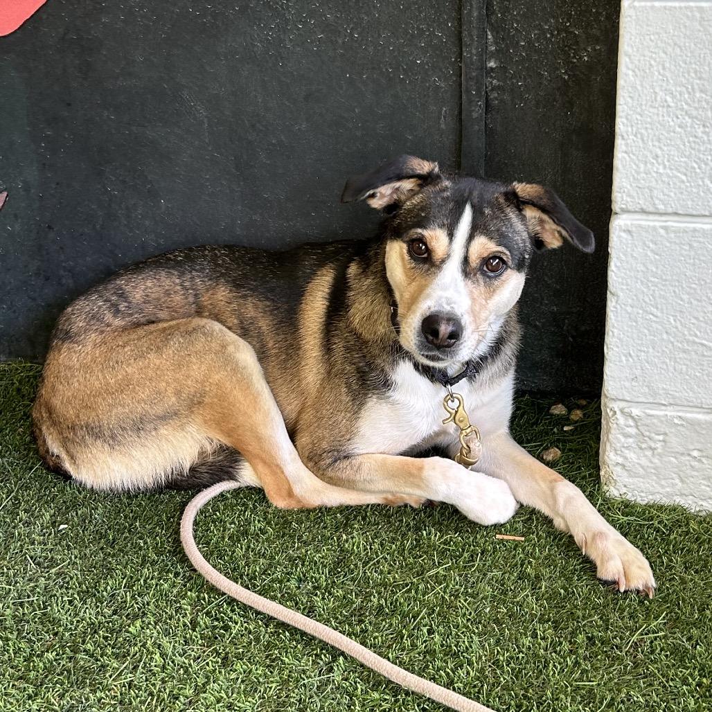 Manchester — thumbnail 6