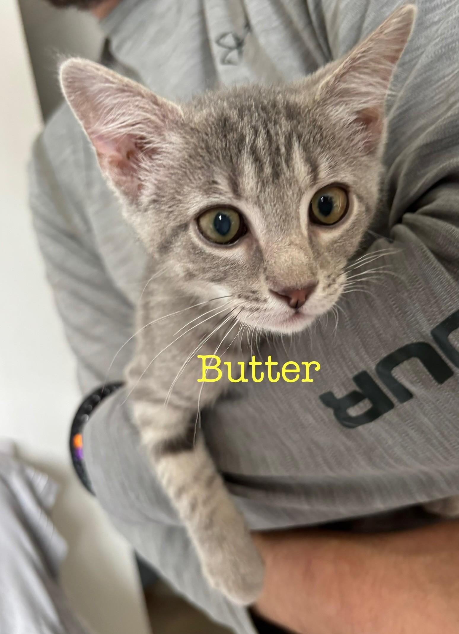 Butter