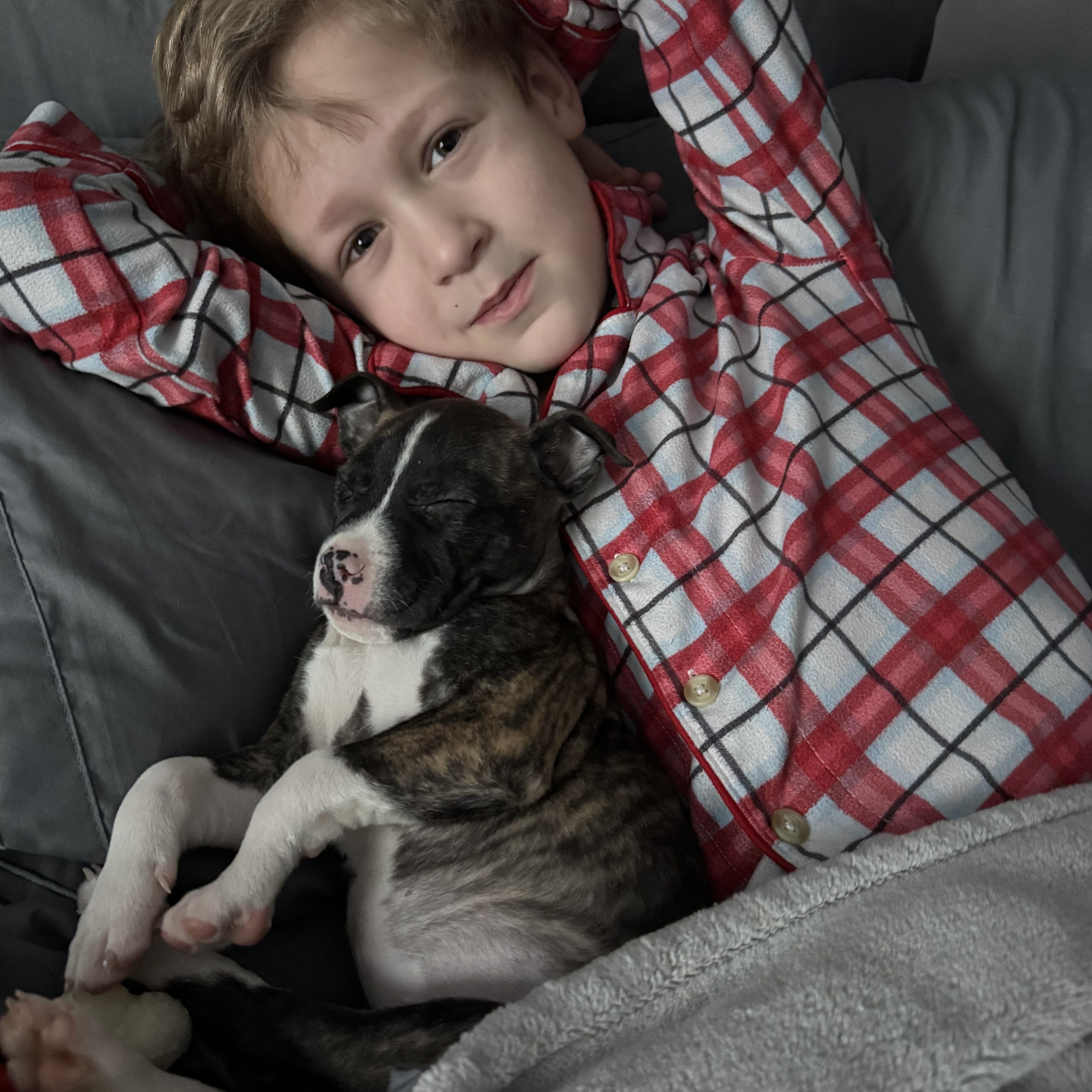 Enlarge Coco, an adopted mixed breed in Newfoundland, NJ image 2/4