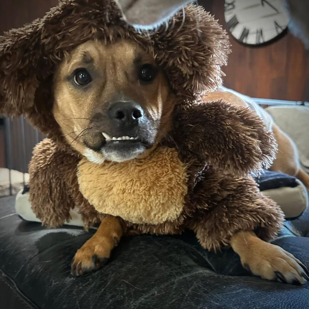 Marky Mark thumbnail 2