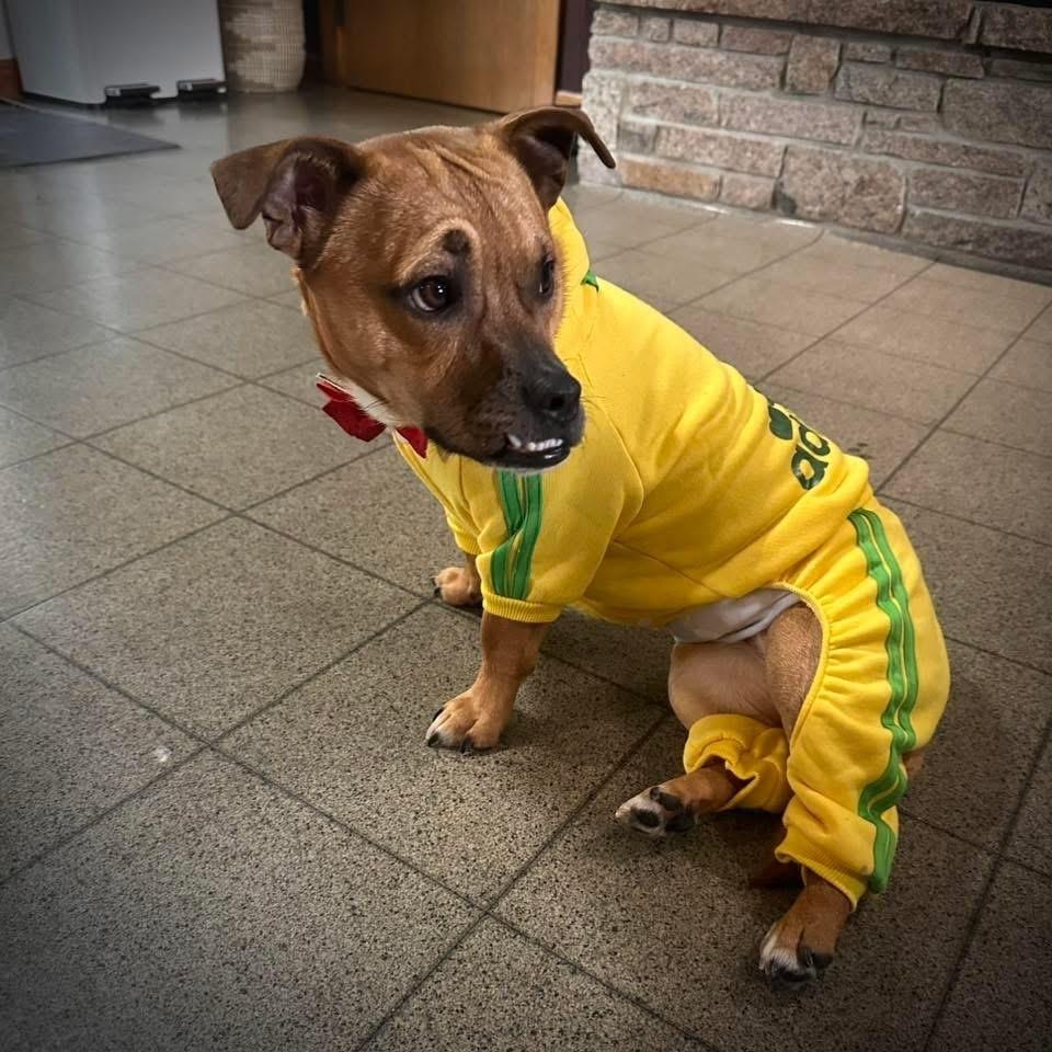 Marky Mark thumbnail 4