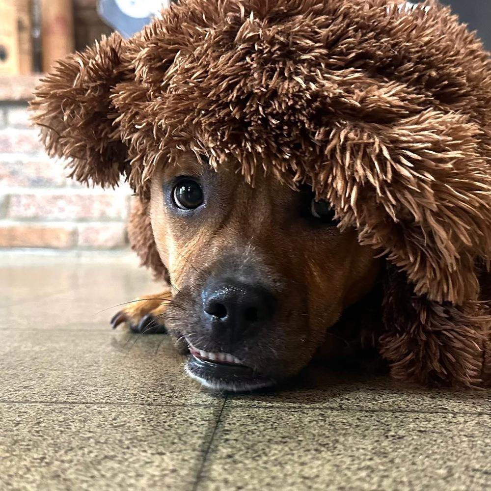 Marky Mark thumbnail 5