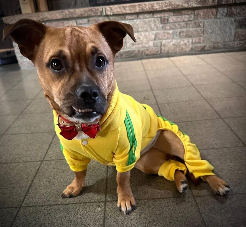 Marky Mark thumbnail 6