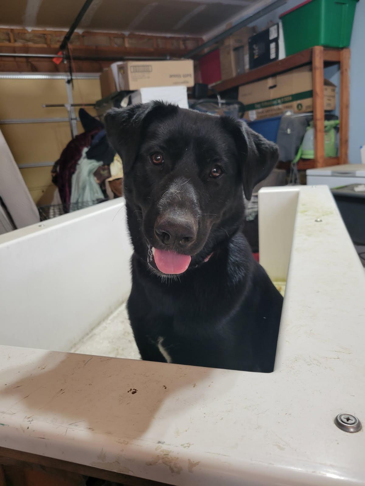 Cassie — thumbnail 3