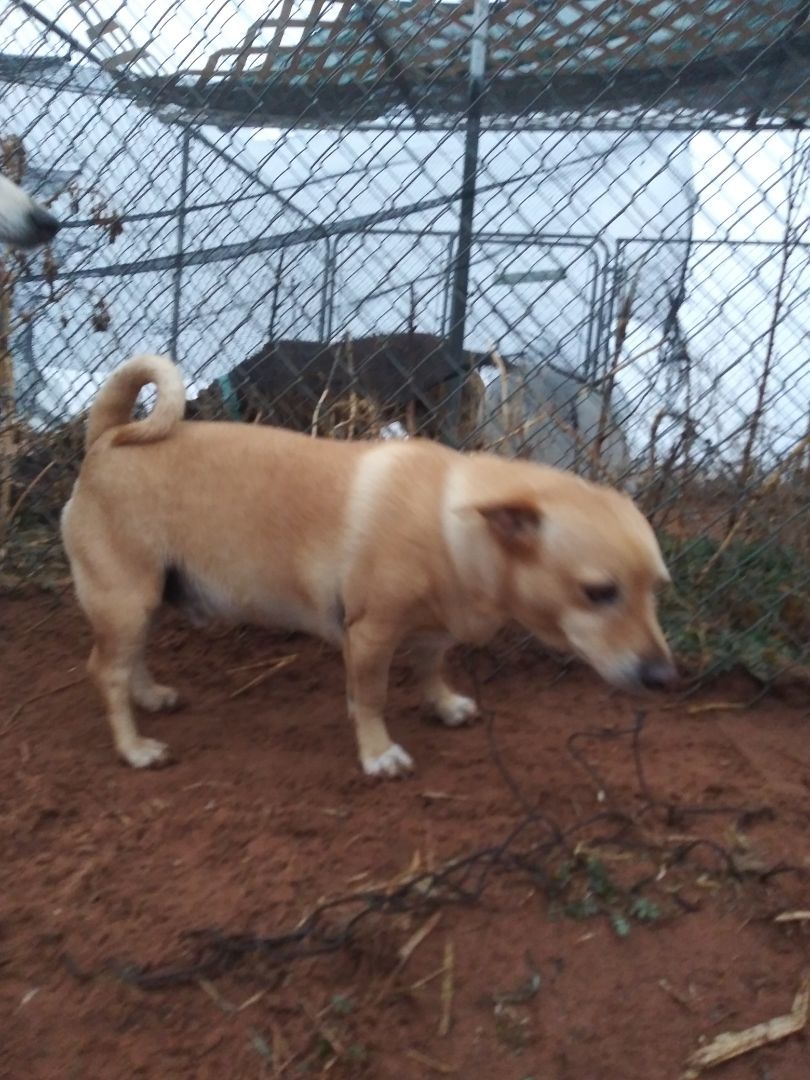 Abott — thumbnail 2