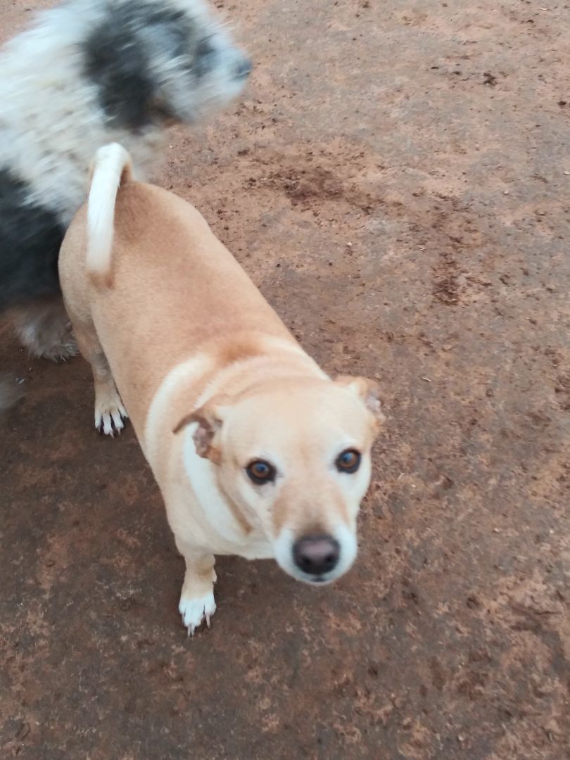 Abott — thumbnail 3