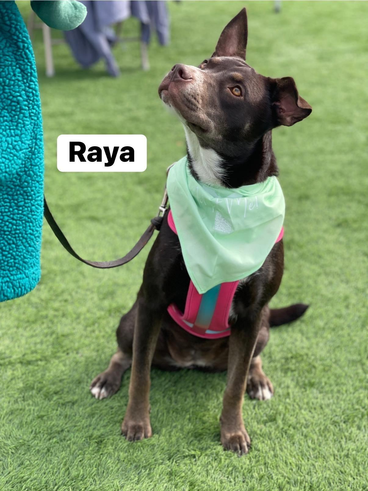Raya