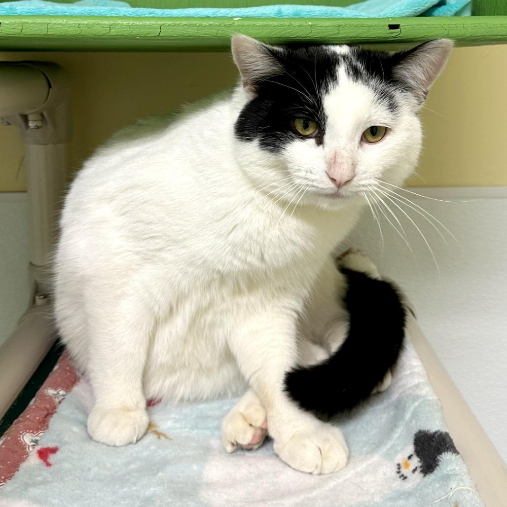 Jersey — thumbnail 2