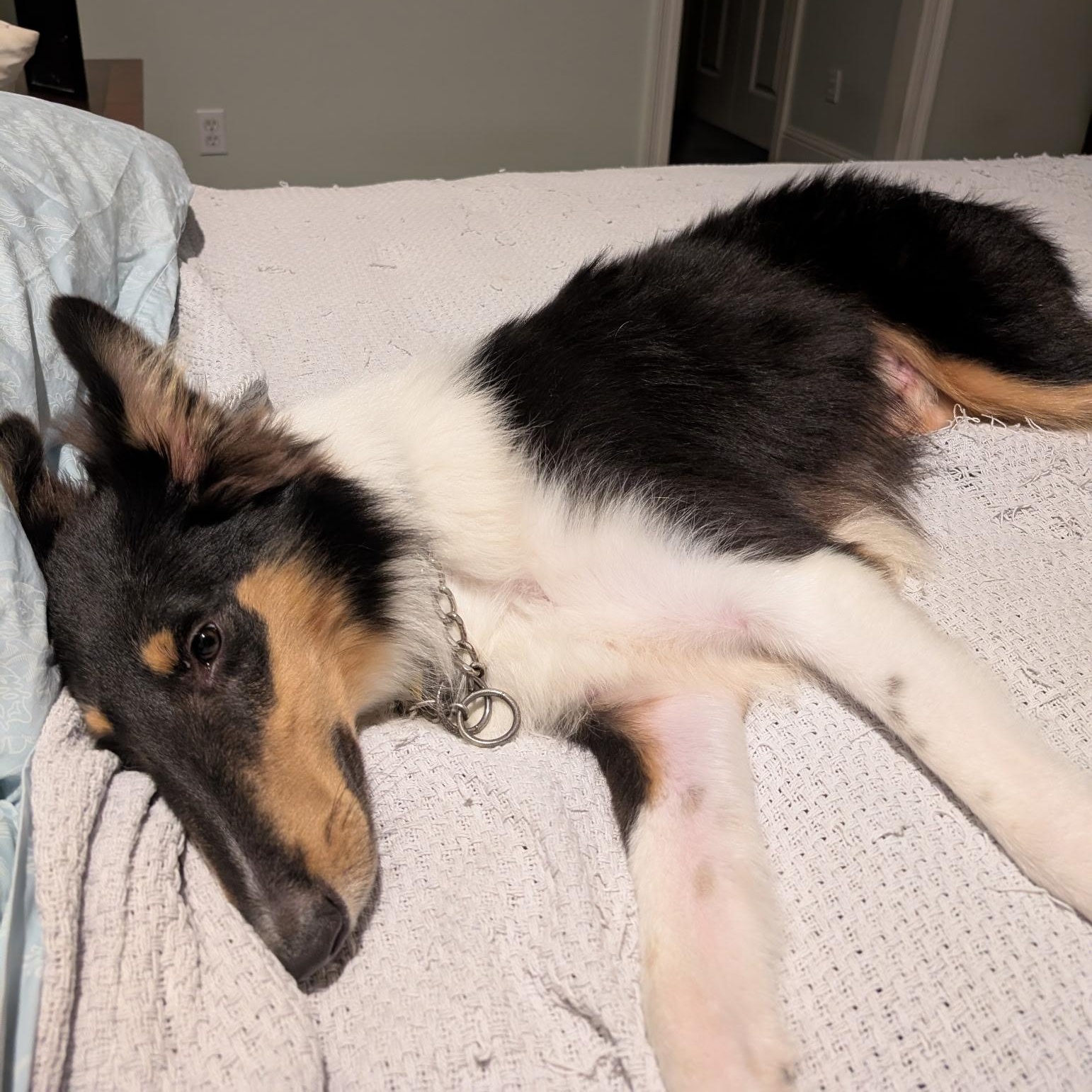 Rigby