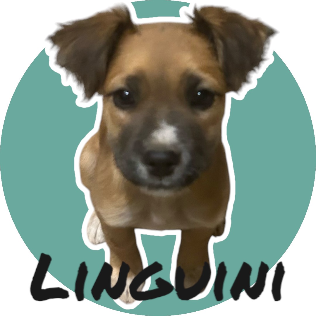 Linguini photo 2