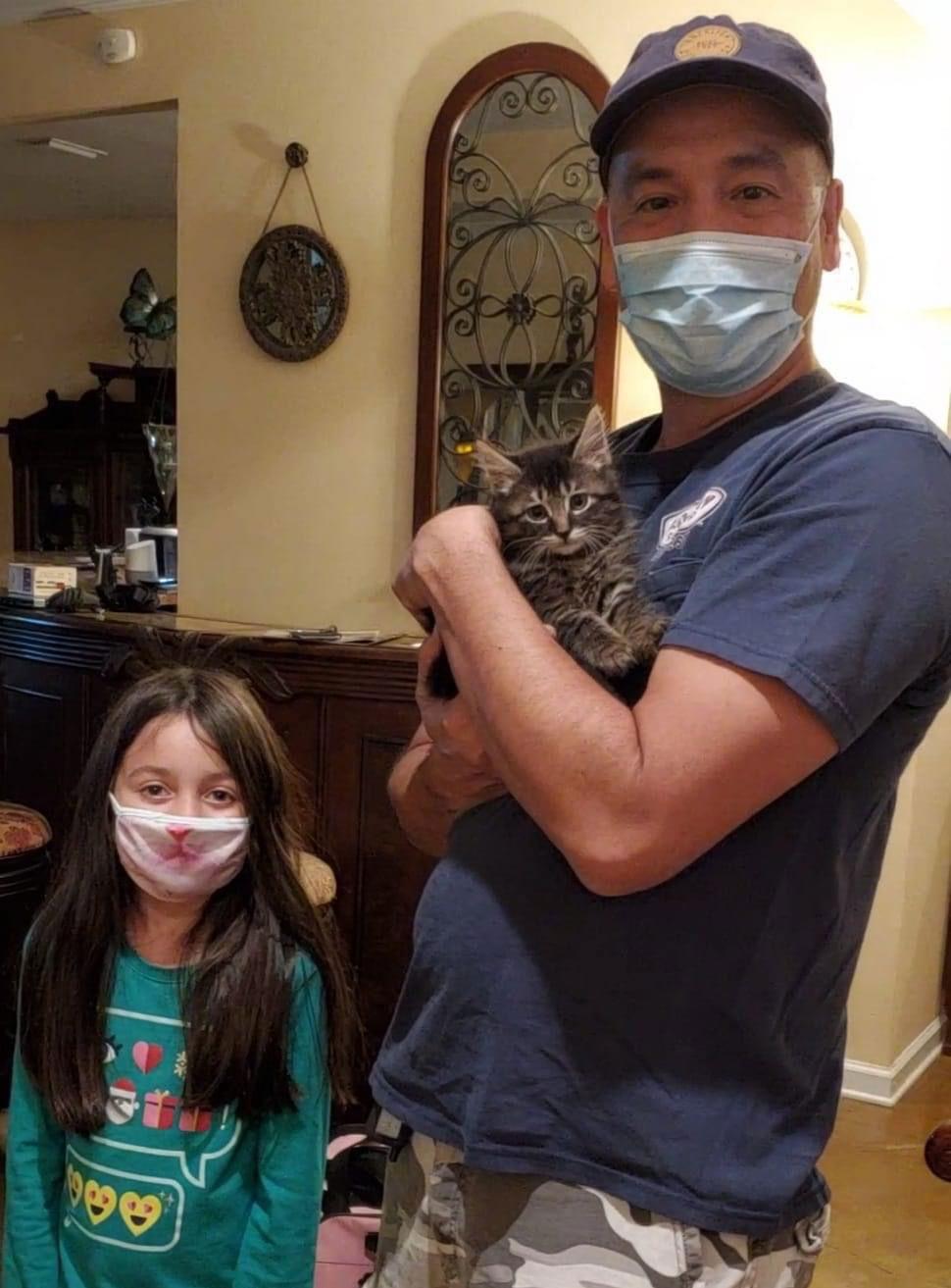 Hamilton, a Adopted mixed breed in Magnolia Springs, AL image 3/3