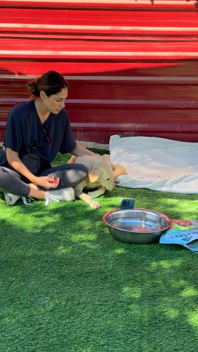 Enlarge Naya, the Bravest Sweetest Pup, a Adoptable mixed breed in Somerset, NJ video 6/6