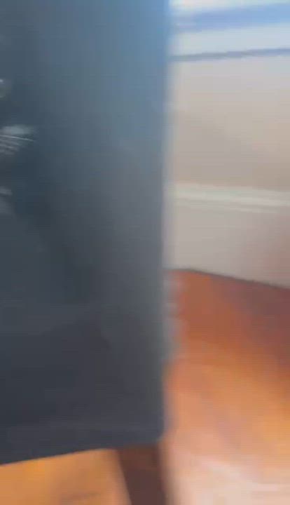 Enlarge Oreo, a Adoptable Domestic Short Hair in Perth Amboy , NJ video 6/6